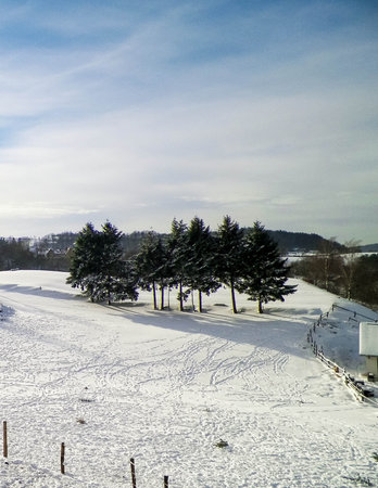 A pasture in Wiezyca in Kashubia Northern Poland at winter.の写真素材