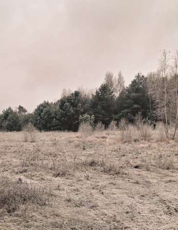 Frozen meadows in Kashubia. Beginning of winter in northern Poland.の写真素材