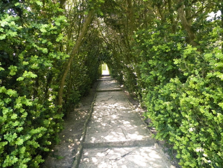 Alley in the gardens of the Balchik Palace, Dobrich province, Bulgaria.の写真素材