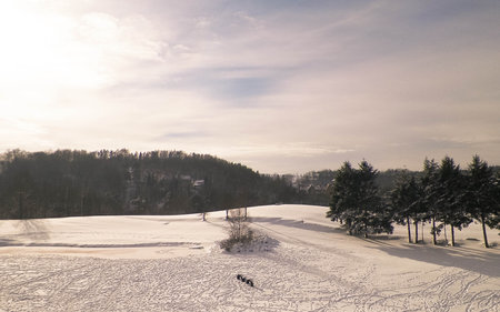 A pasture in Wiezyca in Kashubia Northern Poland at winter.の写真素材
