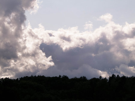 Cloudy sky over the forest. Summer stormy weather concept. Abstract filter toned.