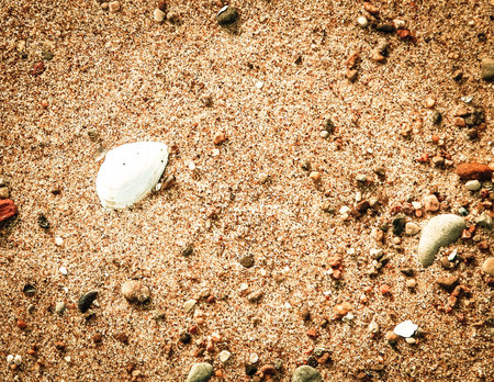 Sand, gravel and small shells on the seashore as a natural background. Copy space.