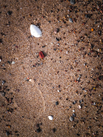 Sand, gravel and small shells on the seashore as a natural background. Copy space.