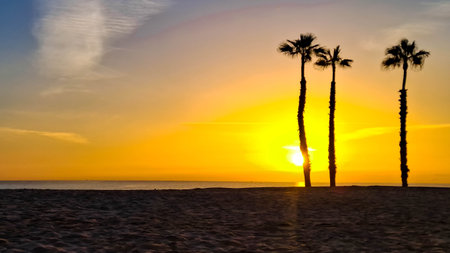 An exotic sight. Sunset over the desert and an oasis in the distance.