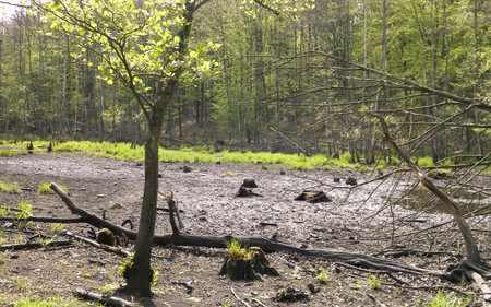 Drought is a significant problem in many parts of the world - global warming is causing many lakes,...