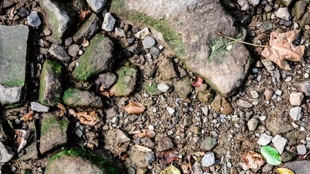 Ground and rocks as natural background. Copy space.