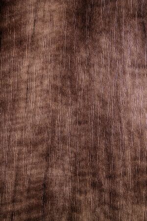 Texture of bark wood use as natural background.の写真素材