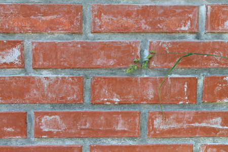 Red brick wall background. Block textureの写真素材