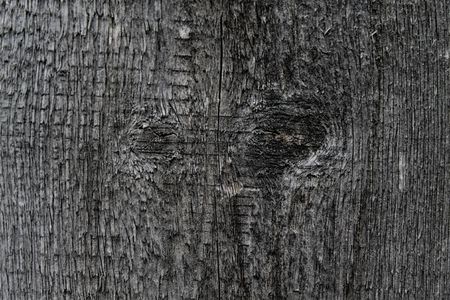 Barn wooden grey board background.の写真素材