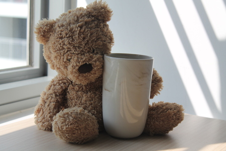 Bear toy with cup sitting by the window in shadowsの写真素材