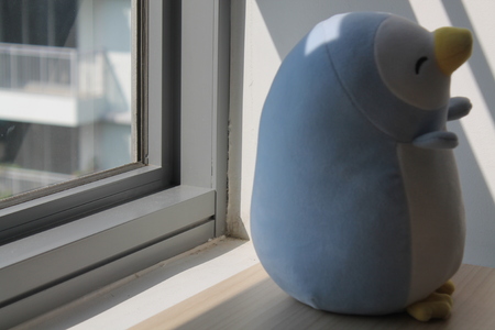 Blue penguin toy sitting by the window in shadowsの写真素材