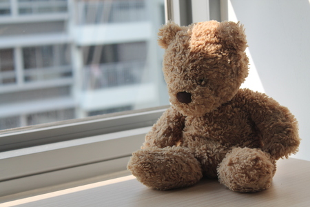 Brown Bear toy sitting by the window in shadowsの写真素材