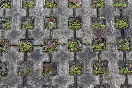 The Stone block walk path in the park with green grass backgroundの写真素材
