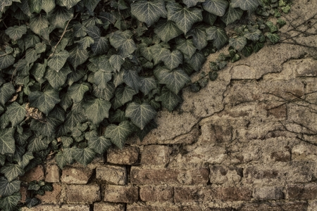 Brick wall stone background - texture for continuous rocksの写真素材