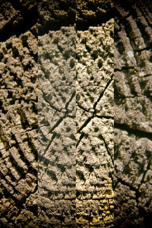 Wooden texture, empty wood background, cracked surface.の写真素材