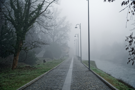 Mystical Walk path with fog silhouette of trees, misty walkside, foggy place.の写真素材