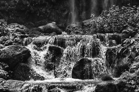 Monochrome Beautiful waterfalls in national park in Singapore.