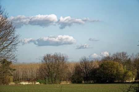 Agriculture field landscape, empty ground, blue sky and clouds in springtimeの写真素材