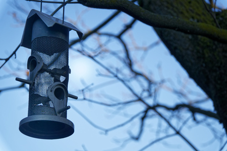 Metalic Feeders for bird . tree house for the birds, cheerful apartment.の写真素材