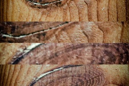Close up texture of bark wood use as natural backgroundの写真素材