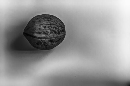 Monojchrome One solated walnut on a white background.の写真素材