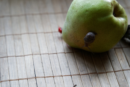 Snail sitting on green pear and tree trunk and crawls to broccoli, wooden bamboo backdrop, close-up animal background.の写真素材