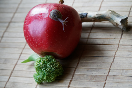 Snail sitting on red apple and tree trunk and go to green broccoli, wooden bamboo backdrop, close-up animal background.の写真素材