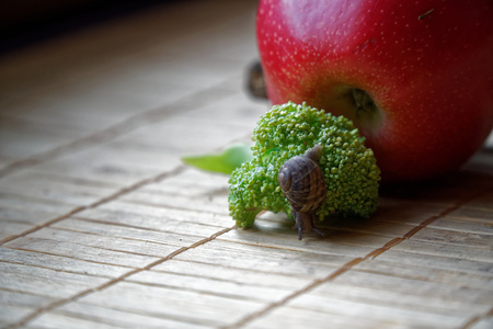 Snail sitting on red apple and tree trunk and go to green broccoli, wooden bamboo backdrop, close-up animal background.の写真素材