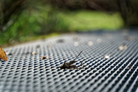 Steel ground lattice. Stainless steel texture, background for web site or mobile devices.の写真素材