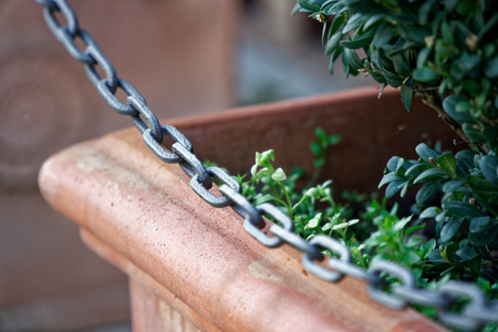Bush in flowerpot with steel chain fence before it.の写真素材