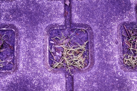 Ballet slipper Stone block walk path in the park with green grass backgroundの写真素材