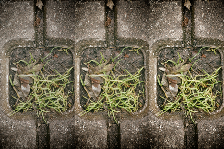 The Stone block walk path in the park with green grass backgroundの写真素材