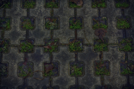 The Stone block walk path in the park with green grass background.の写真素材