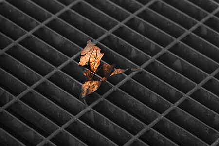 Monochrome Square metal hatch in urban pavement, sewer manhole cover with marking lines and leaf inside.の写真素材