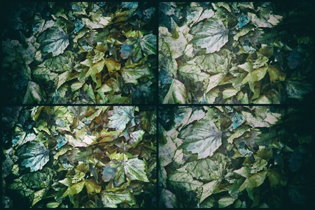 Dirty autumn leaves, natural background for web site or mobile devices.