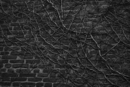 Monochrome Brick wall stone background - texture for continuous rocks.
