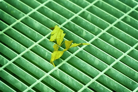 Ultra green colored square metal hatch in urban pavement, sewer manhole cover with marking lines and leaf inside.の写真素材