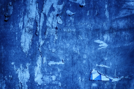 Ultra blue Torn poster after vote on tin textured wall Ripped newspaper