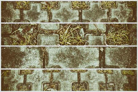 The Stone block walk path in the park with green grass backgroundの写真素材