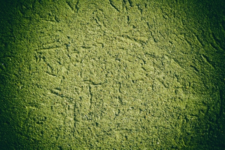 Plaster concrete texture, stone surface, rock cracked background for postcard.の写真素材