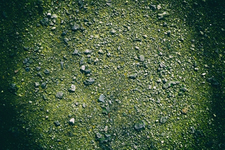 Ultra green Ground texture, sand surface, stone background, good for design elements.
