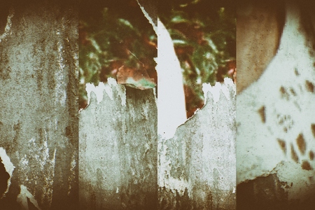 Torn poster after vote on tin textured wall Ripped newspaper.の写真素材