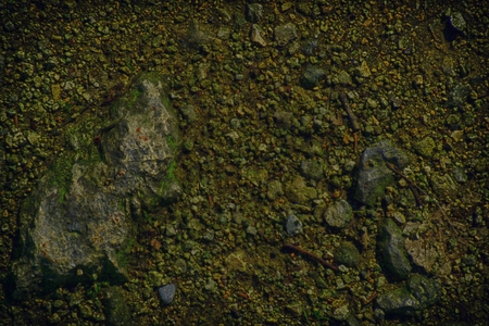 Ultra orange Ground like on Mars, land texture, sand surface, stone background.の写真素材