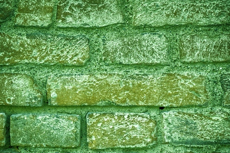 Ultra green Brick wall texture, cement background for web site or mobile devices.の写真素材