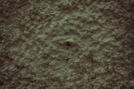 Concrete cement texture, stucco background and rock surface.の写真素材