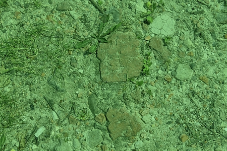 Ultra green Brick texture of old vintage building, design concept.