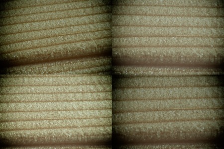 Wooden texture, empty wood background.の写真素材