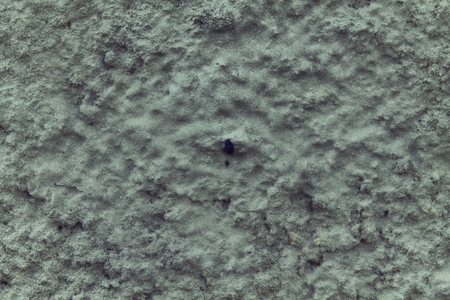 Concrete cement texture, stucco background and rock surface.