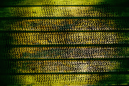 Grunge Wooden bench plank texture for web site or mobile devices, design element.の写真素材