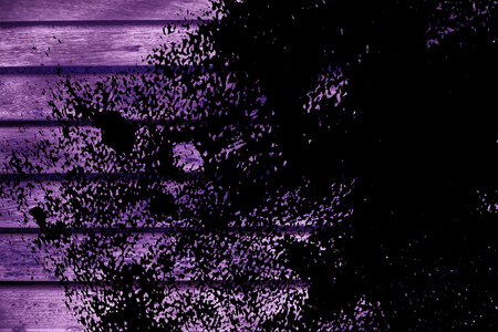 Grunge Ultra purple Wooden bench plank texture for web site or mobile devices, design element.の写真素材